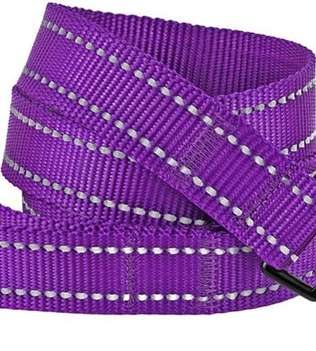 Nylon Dog Leash 5Ft for Daily Outdoor Walking Running Training Heavy Duty Reflective Pet Leashes for Large, Medium & Small Dogs