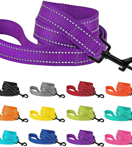 Nylon Dog Leash 5Ft for Daily Outdoor Walking Running Training Heavy Duty Reflective Pet Leashes for Large, Medium & Small Dogs
