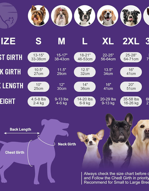 Load image into Gallery viewer, 2 Pack Dog Sweatshirts Fleece Jacket with Reflective Stripe Pullover Stretchy Dog Sweater Soft Pet Clothes Lightweight Dog Sweaters for Small Dogs Turquoise &amp; Grey
