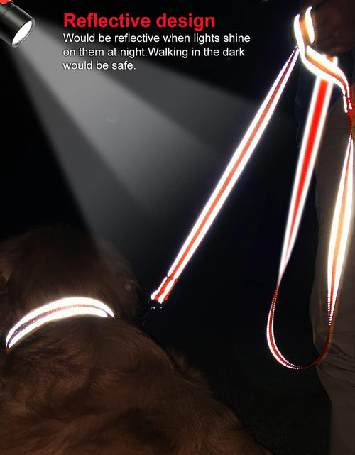 Load image into Gallery viewer, Double-Sided Reflective Dog Leash, 6 FT/5 FT/4 FT, Padded Handle Nylon Heavy Duty Leashes for Medium &amp; Large Dogs Walking, Orange, 5FT
