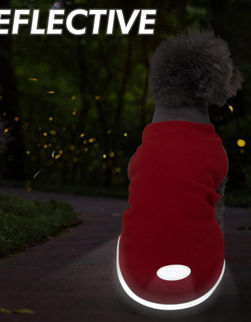 Load image into Gallery viewer, 2 Pack Dog Sweatshirts Fleece Jacket with Reflective Stripe Pullover Stretchy Dog Sweater Soft Pet Clothes Lightweight Dog Sweaters for Small Dogs Turquoise &amp; Grey
